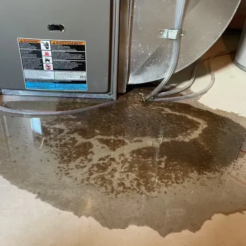 Appliance Leak Cleanup in Perkins County, SD